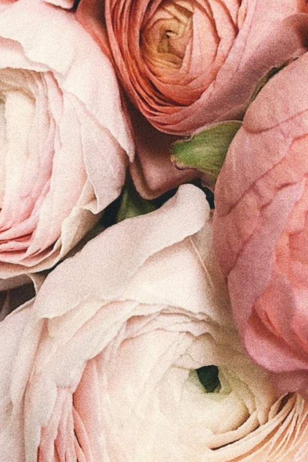 முதல் மரியாதை 