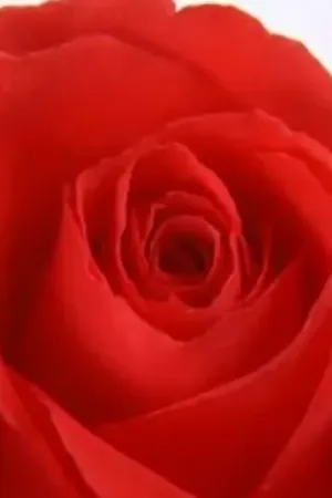 விலகி போ