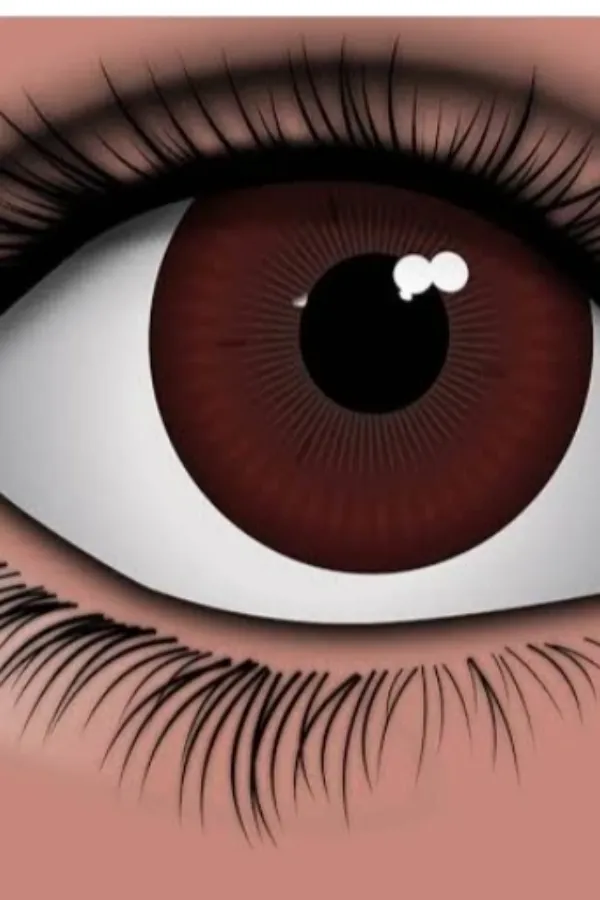 உனக்கு உயிரானேன்