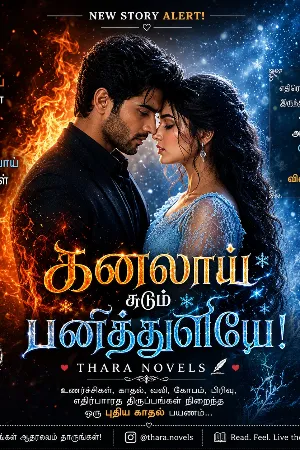 நினைவுகளின் பிடியில் மீராவும் கார்த்திக்கும்